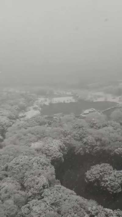 That rare snowfall in Tokyo [oc]