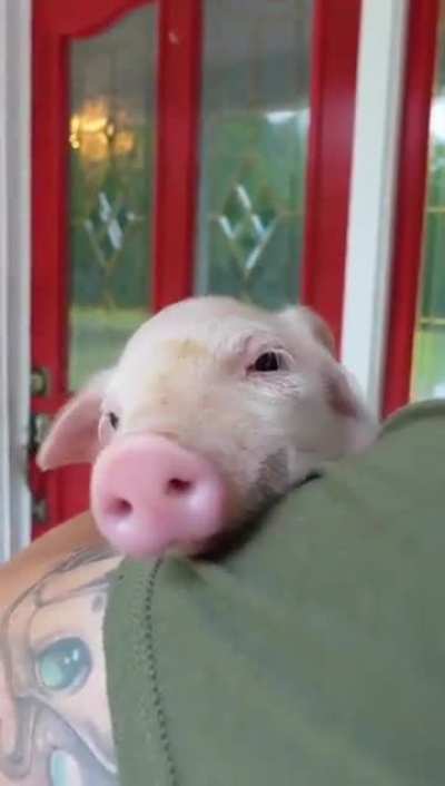 Aaawwwwwww!!!
