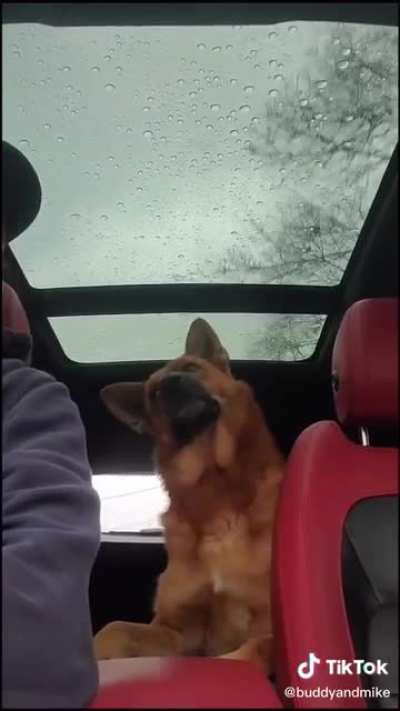Woof irl