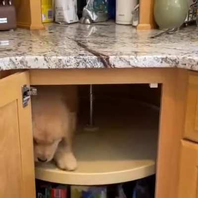 woof irl