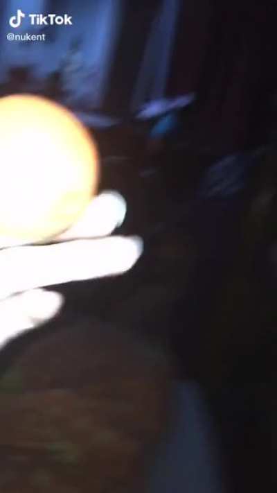 globble
