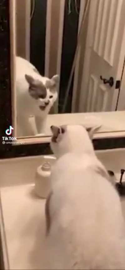 I’ve never seen someone hate their reflection that much -