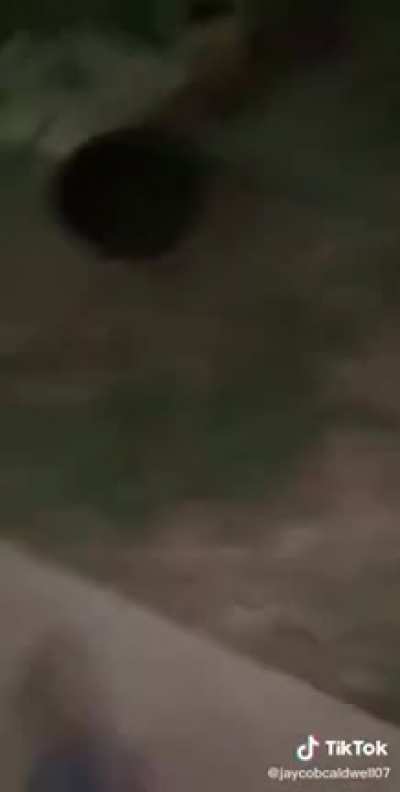 To put out a fire