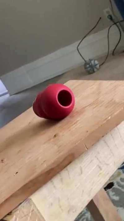 My dog couldn’t get the toy and he was devastated