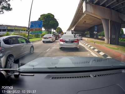 wild king myvi