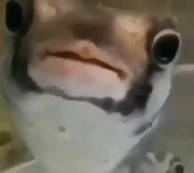 bruh