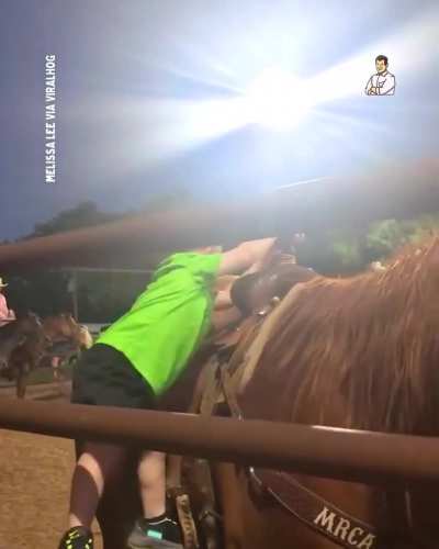 Cow baby