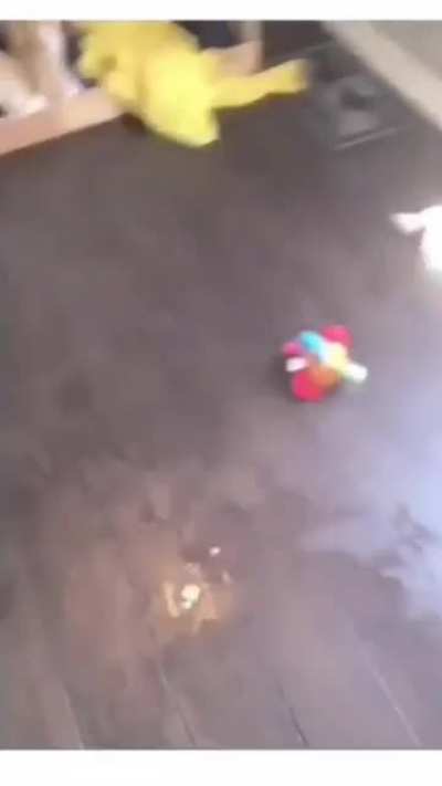 floor is already a warzone