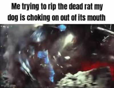 Meme I made