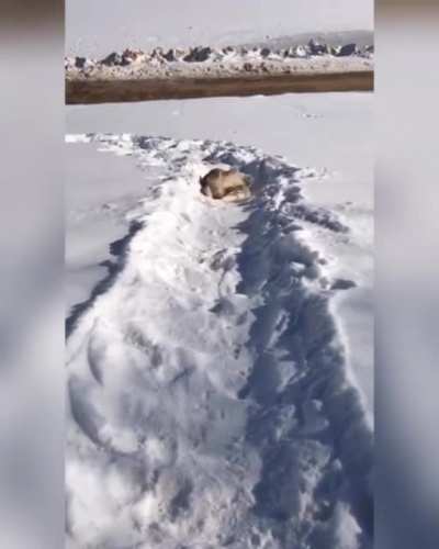 was nice to snow you but i miced go now