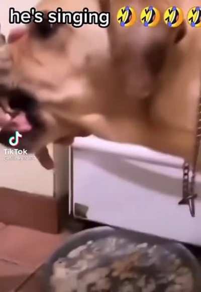 HAAAAA