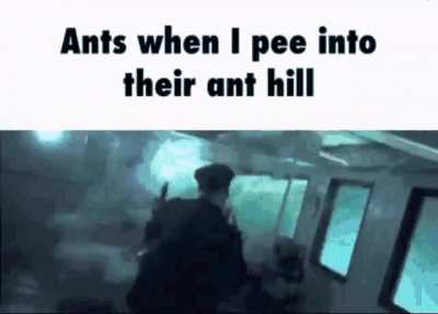 urinate