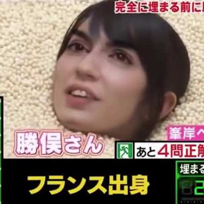 🇯🇵 📺