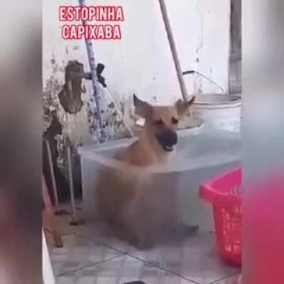 S&oacute; achei bonitinho msm