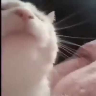 Me after hearing the intro music