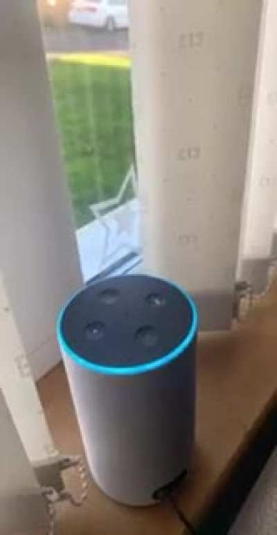 Alexa knows the craic