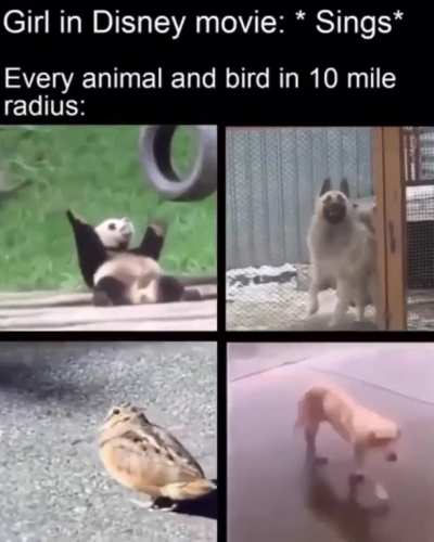 Cute