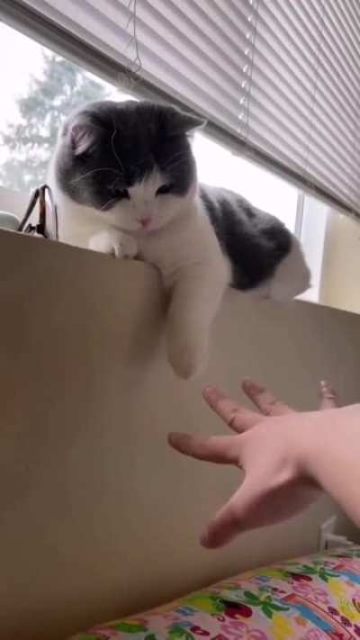 I can do that