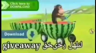 MONKE RIDING CAR
