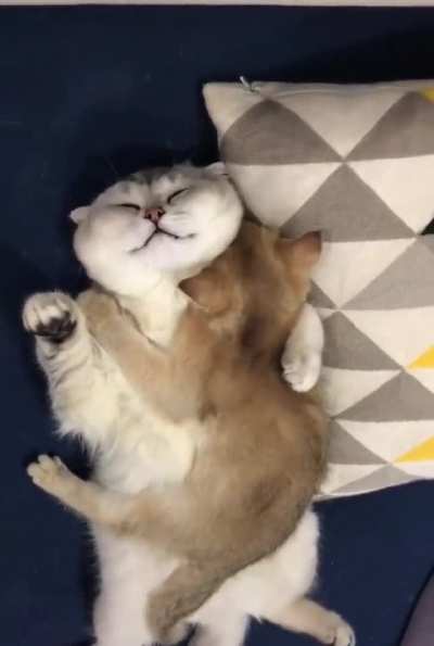 How Cute Is This?!