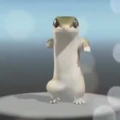&Eacute; um macaco chat