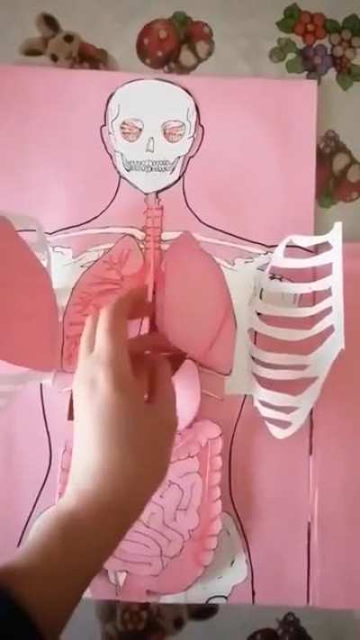 A teacher made this for his/her students.