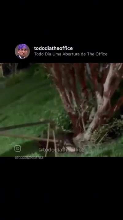 🐊