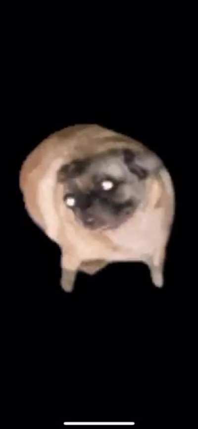Help the doggy