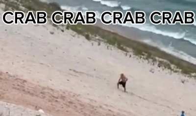 CRAB MAN?!?!?!??!!??!!?!??!!??!!??
