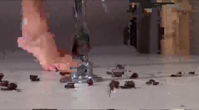 snails crush