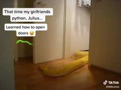 The *Smack* Tho