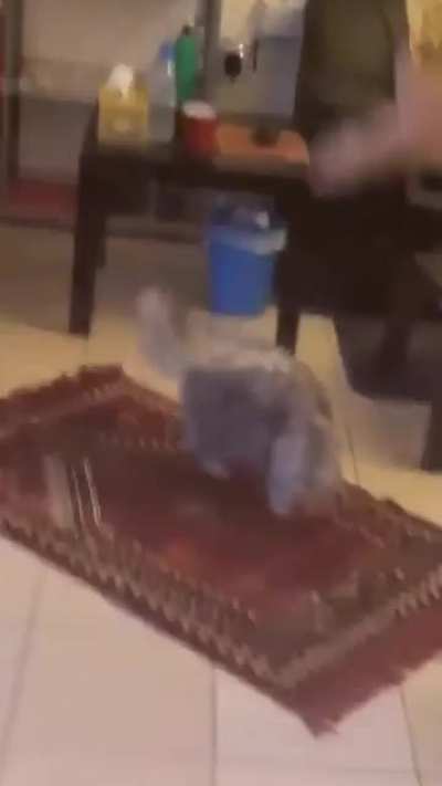 Faster hooman