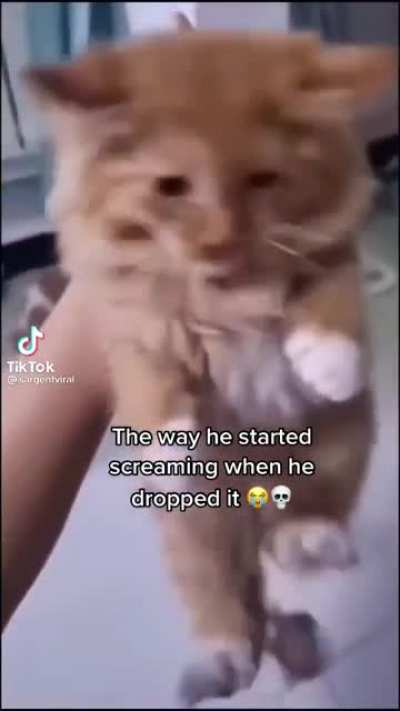 found in tiktok