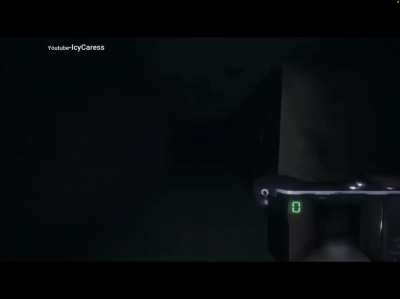 Just 20 seconds of someone screaming while playing Phasmophobia