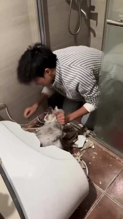 Cat rescue