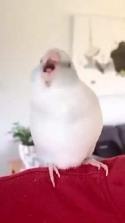Random video #48