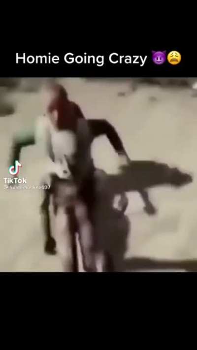 WTF Homie