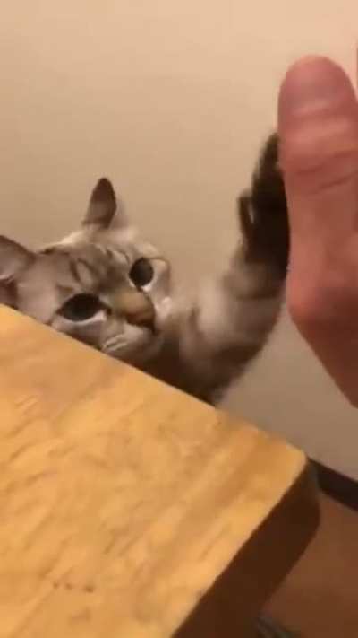 High Five