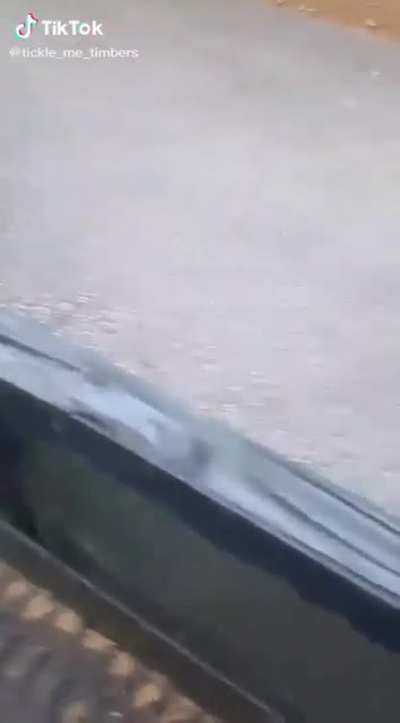 Hope he is ok