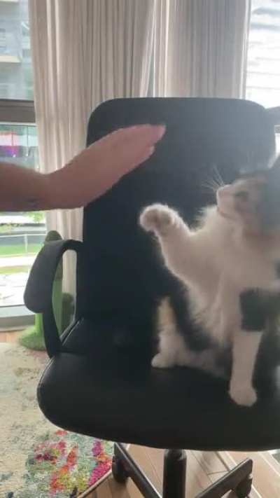 High five, low five, on the sly&hellip;