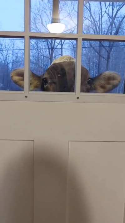 Hi I&rsquo;m your new neighbor