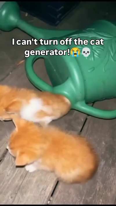 Halp pelaseaplease