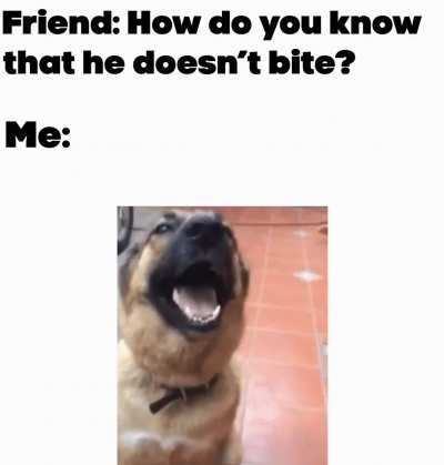 He's a good boi