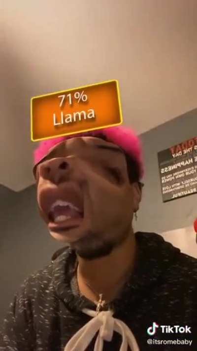 An Llama