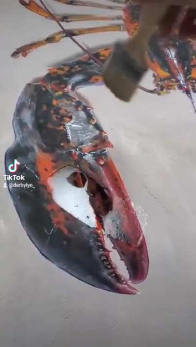 Varnishing my lobster painting!