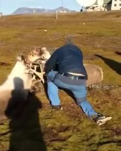 Помог