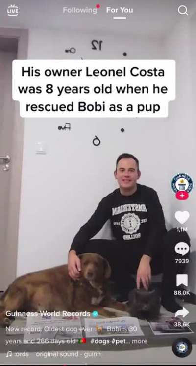World&rsquo;s oldest dog: this guy rescued him as a pup when he was 8 - now 38