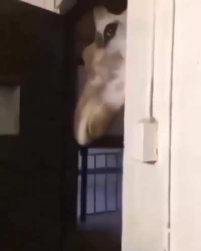 hmmm