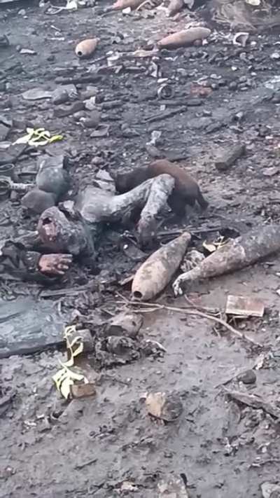 A perfectly cooked Russian soldier is devoured by a cute and fluffy Ukrainian cat.