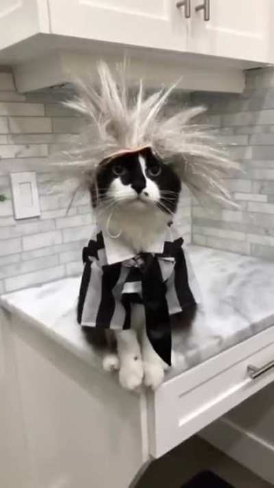 Fashion styles